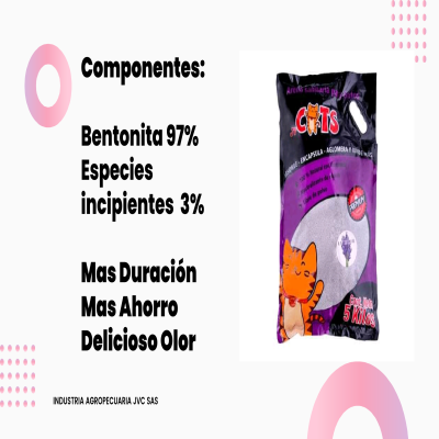 Jv Cats - Arena Sanitaria Lavanda